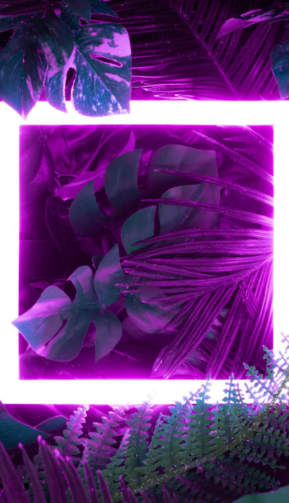 抽象紫色霓虹灯设计
